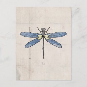 Postal Serie Insects - Dragonfly de VOL25