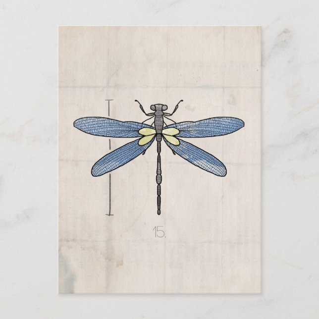 Postal Serie Insects - Dragonfly de VOL25 (Anverso)
