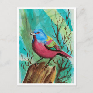 Postal Serie LIttle Birds