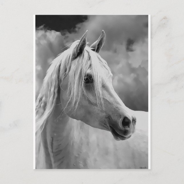 Postal Serne Composition (Anverso)