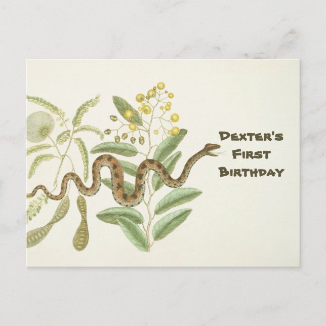 Postal Serpiente (Anverso)