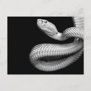 Postal Serpiente