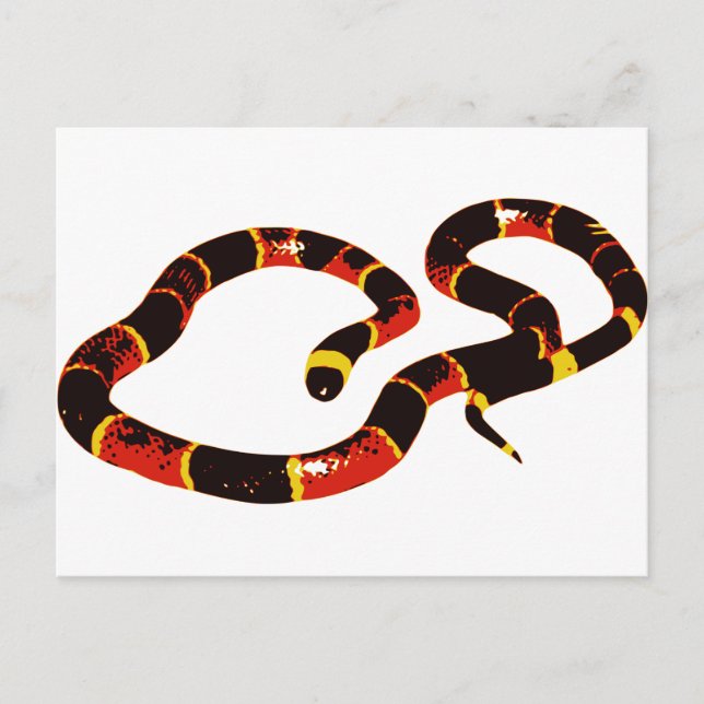Postal Serpiente de Coralillo (Anverso)