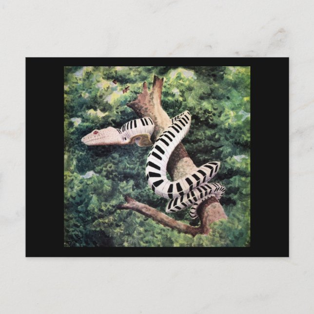 Postal Serpiente de piano (Anverso)
