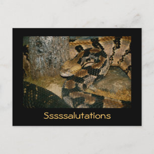 Postal Serpiente diciendo Saltos
