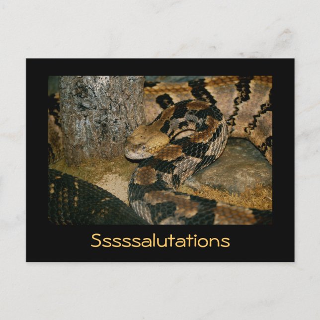 Postal Serpiente diciendo Saltos (Anverso)