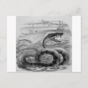 Postal Serpiente marina/serpiente