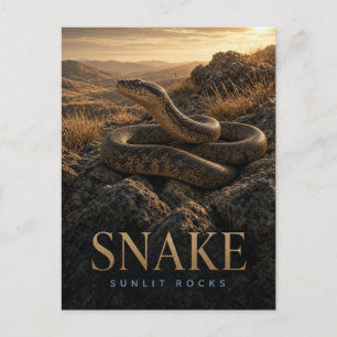 Postal Serpiente Rocas Iluminadas por el Sol Vida Silvest