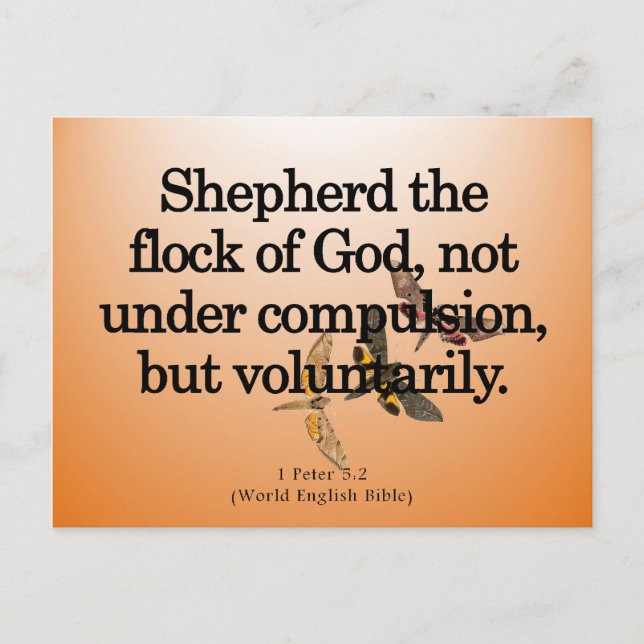 Postal Servicio voluntario 1 Peter 5-2 (Anverso)