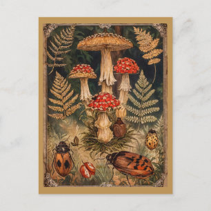 Postal Setas de Bosque Antiguo Saludo de Otoño 