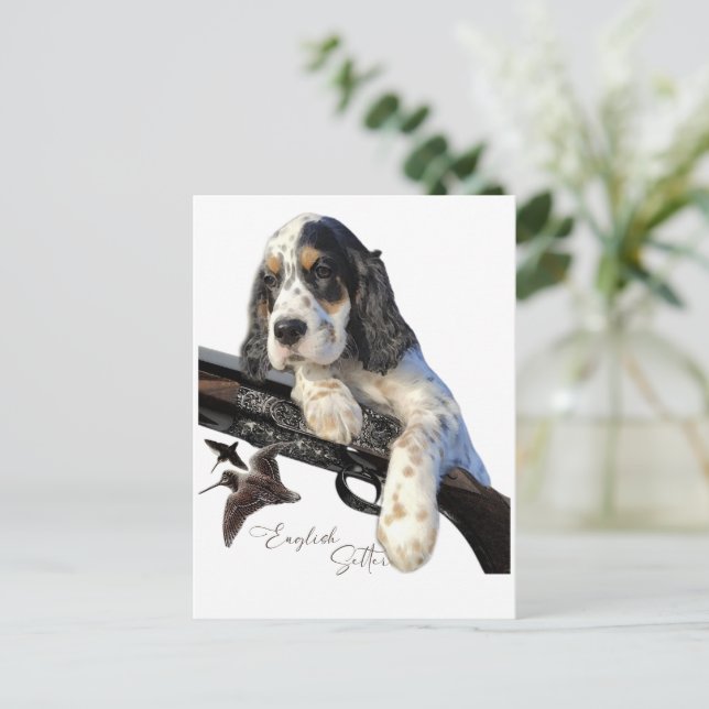 Postal Setter inglés, adorable cachorro (Anverso de pie)