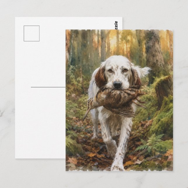 Postal Setter Inglés, caza de chocha (Anverso / Reverso)