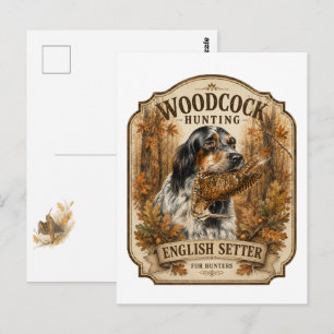 Postal Setter Inglés, caza de chocha
