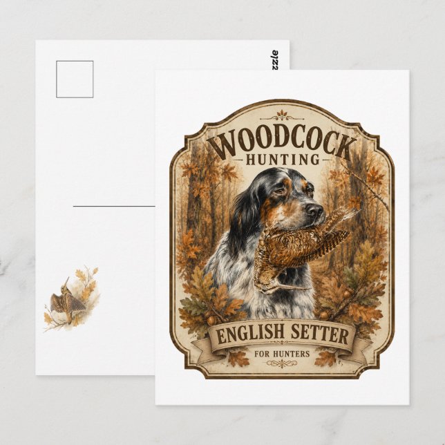 Postal Setter Inglés, caza de chocha (Anverso / Reverso)