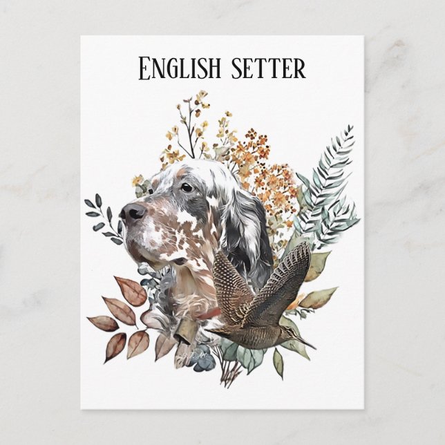 Postal Setter inglés, caza de chocha, arte (Anverso)