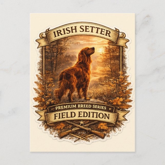Postal Setter Irlandés (Anverso)