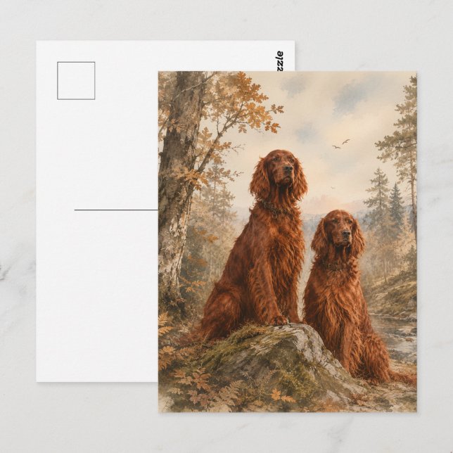 Postal Setter Irlandés   (Anverso / Reverso)