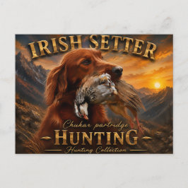 Postal Setter Irlandés con Perdiz Chucar ,Arte