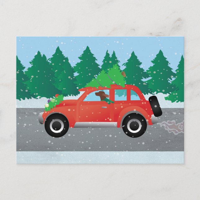 Postal Setter irlandés conduciendo un auto con un árbol e (Anverso)