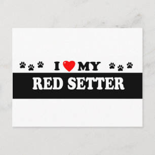 POSTAL SETTER ROJO