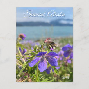 Postal Seward Geranium - Postcard