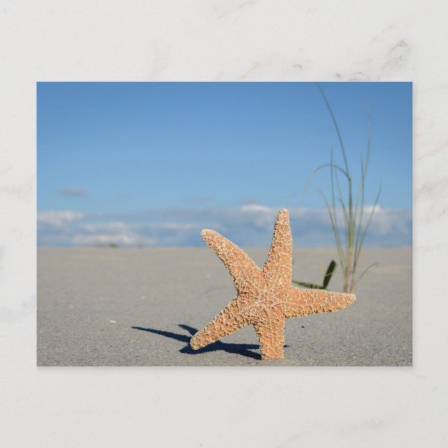 Postal SeWestern am Strand (Anverso)