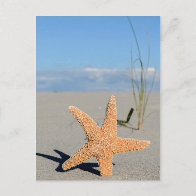 Postal SeWestern am Strand (Anverso)