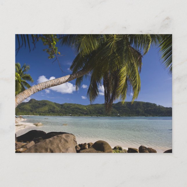 Postal Seychelles, Isla de Mahe, Anse a la Mouche (Anverso)
