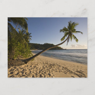 Postal Seychelles, isla de Mahe, playa de Anse Takamaka,