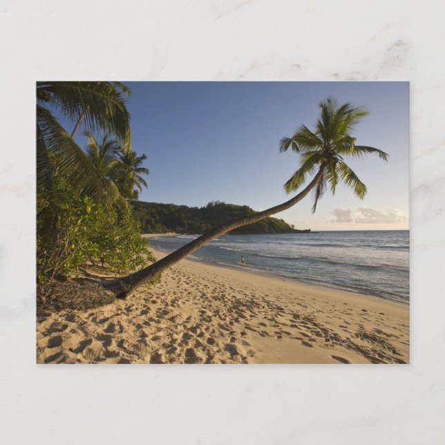 Postal Seychelles, isla de Mahe, playa de Anse Takamaka, (Anverso)