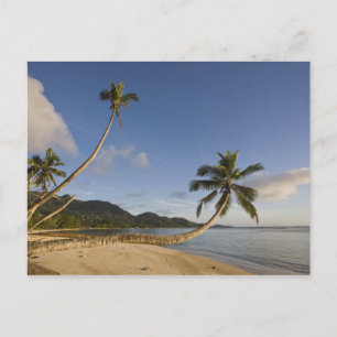 Postal Seychelles, isla Mahe, palma horizontal,