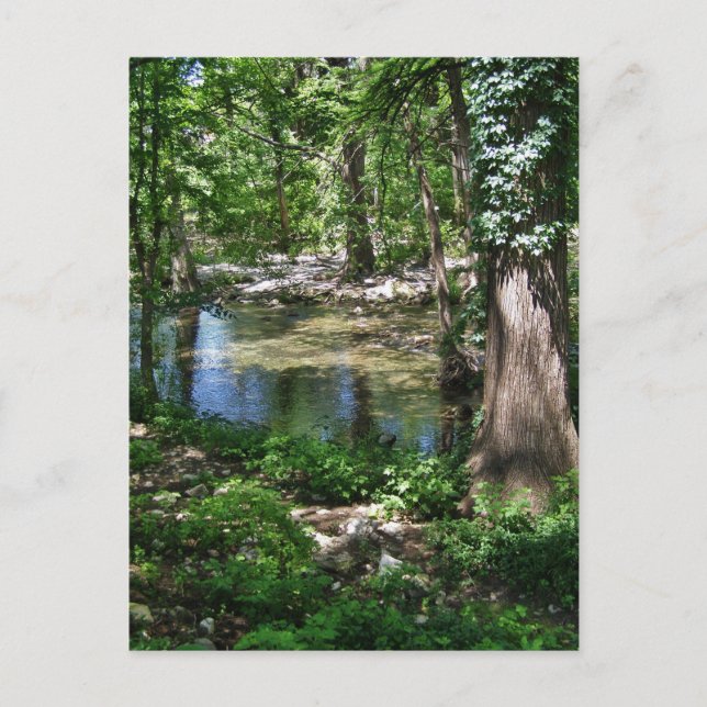 Postal Shady Texas Creek (Anverso)