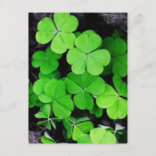 Postal Shamrock