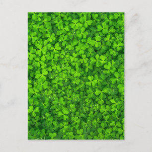 Postal Shamrock Clovers Green Irish Symbol Irlanda