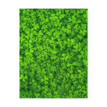 Shamrock Clovers Green Irish Symbol Irlanda
