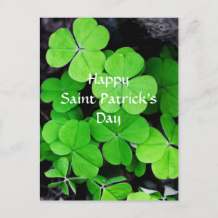 Postal Shamrock, feliz Día de San Patricio