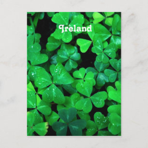 Postal Shamrock irlandés