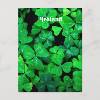 Postal Shamrock irlandés