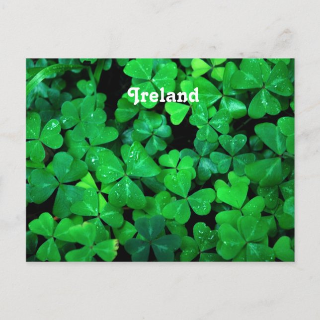 Postal Shamrock irlandés (Anverso)