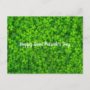 Postal Shamrock verde irlandés del Día de San Patricio