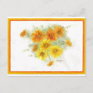 Postal Shasta Daisies tras la lluvia
