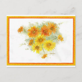 Postal Shasta Daisies tras la lluvia