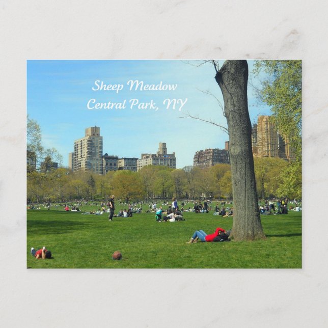 Postal Sheep Meadow, Central Park, NYC (Anverso)