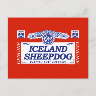 Postal Sheepdog de Islandia