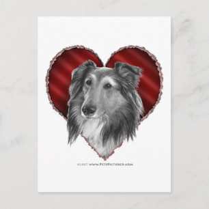 Postal Sheepdog de Shetland con corazón