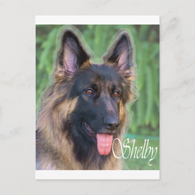 Postal Shelby (Anverso)