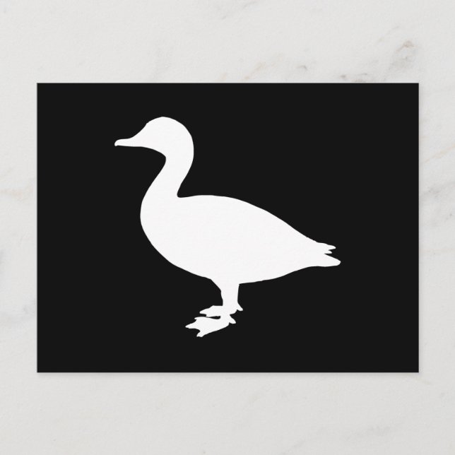 Postal Sheldrake Duck (Anverso)