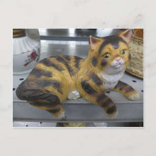 Postal Shelf Cat