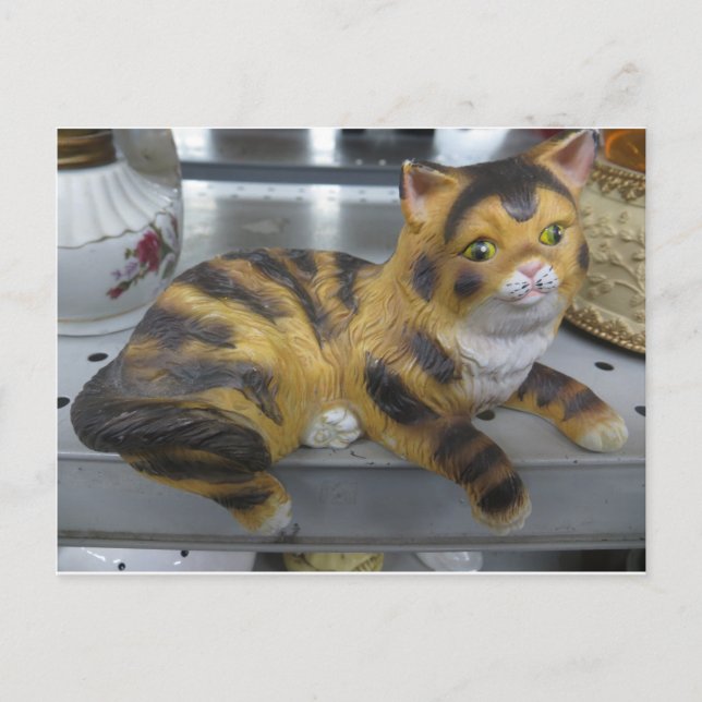 Postal Shelf Cat (Anverso)
