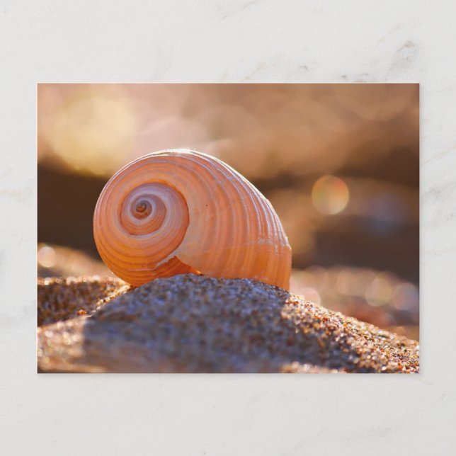 Postal Shell Bokeh |Grecia (Anverso)